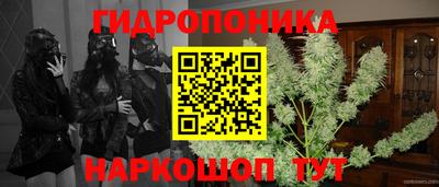 мет Кимры