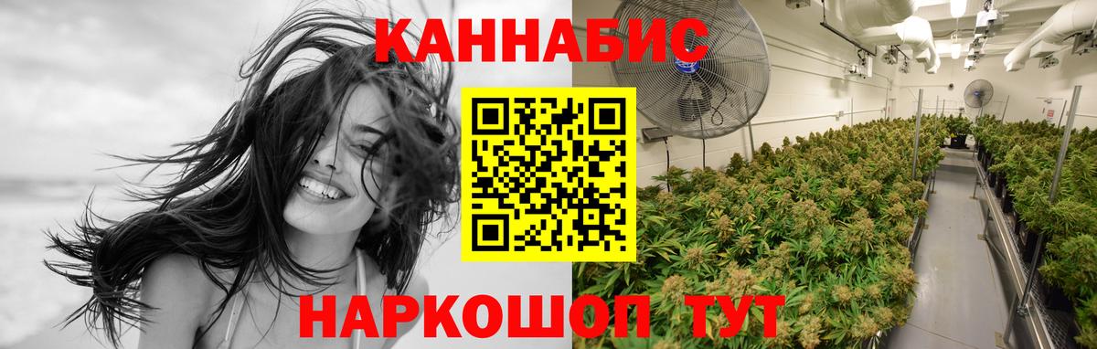 Бошки марихуана OG Kush Краснокаменск